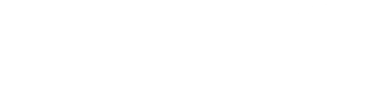 Shah Digital Solutions logo